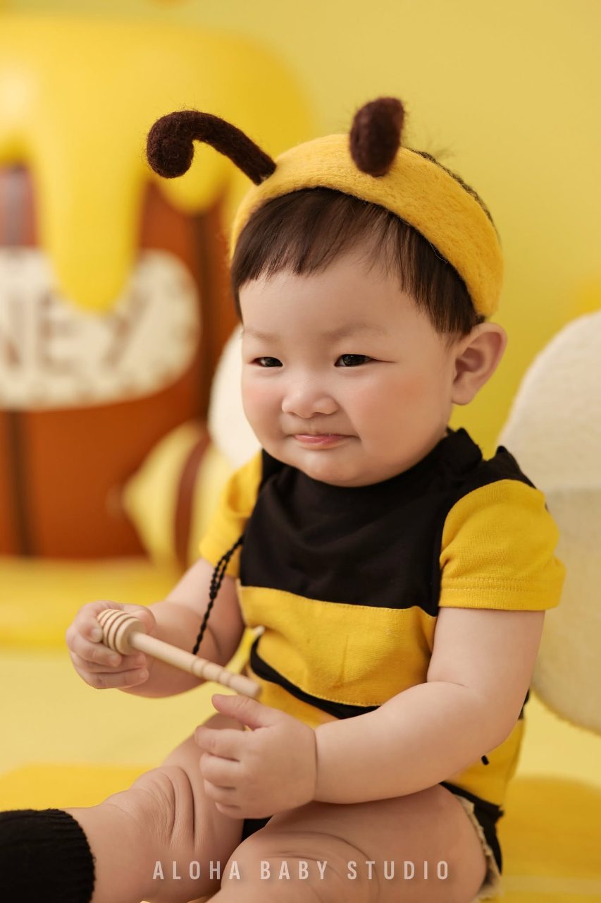 Album ảnh bé lớn Honey Bee